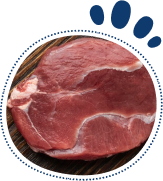 Hydrolyzed Beef Collagen