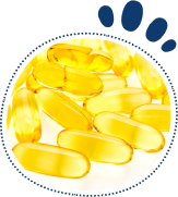Omega-3 Fish Oil (EPA & DHA)