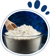 Creatine (Low, Daily Dose)