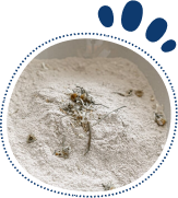 Creatine Monohydrate (Microfine)