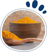 Pumpkin Powder